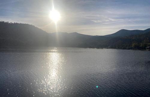 Charmante maison au coeur d'un village auvergnat - Foto 19