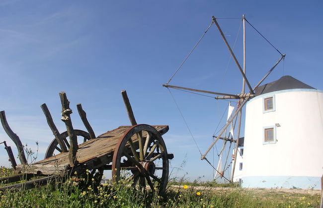 Terra Luso - Foto 64