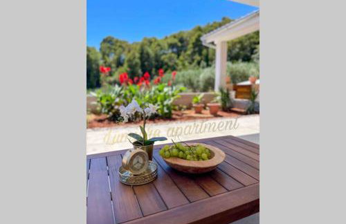 Seaview pool apartment-Lumière, Island Hvar-Gdinj - Foto 7