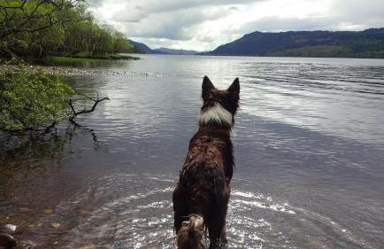 Argyllholidaycottage Loch Awe - Foto 8