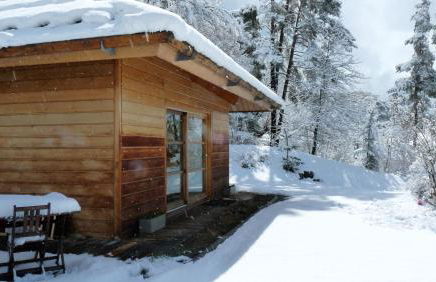 Le Carré de Bois - Photo 27