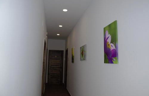 Sueños del Geoparque - Foto 30