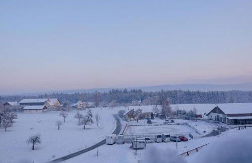 Trautesheim Ferienwohnungen - Foto 30