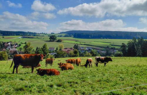 Waldacher Hof - Foto 11