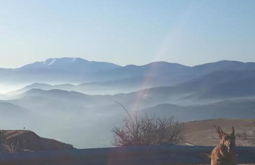 Guesthouse Kontogianni - Materka - Foto 74