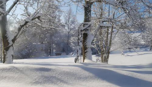 Gemütliche Wohnung in Flussnähe in Regen Bayern - Foto 5