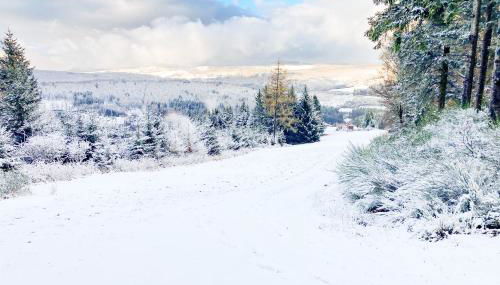 Luxury Apartments Winterberg in der alten Schule - Foto 4