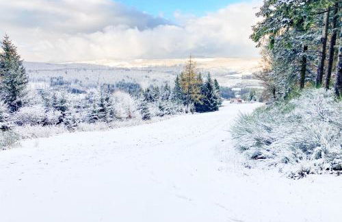 Luxury Apartments Winterberg in der alten Schule - Foto 4