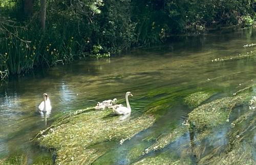 Studio Indre climatisé, La halte de Cuzé, aux abords de la Loire à vélo - Foto 30
