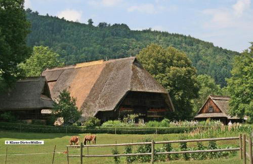 Haus am Waldrand - Foto 27