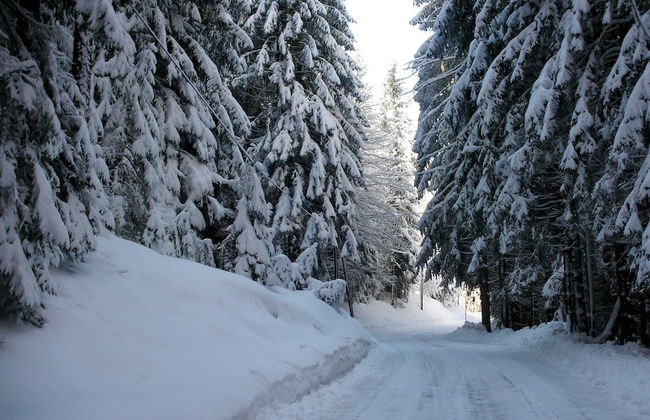Lush Farmhouse in Fresach near Lake Millstätter See - Foto 20