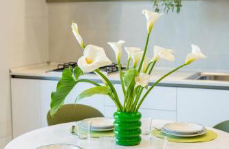 Villa Cola - Vesuvio Garden & Relax - Foto 60