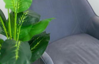 Charming and Cozy 1 Bedroom 1 Bathroom Guest Suite in Silverlake - Foto 37