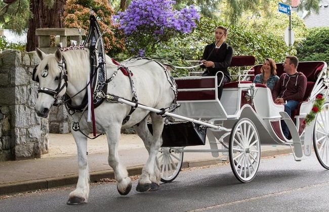 Giro romantico in carrozza (VIP-privato) a Central Park 1964 - Foto 6