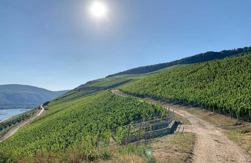 Fewo Zur Goldenen Traube - Foto 42