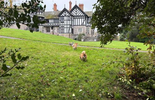 Dillons Lakeside Lodge - Photo 12