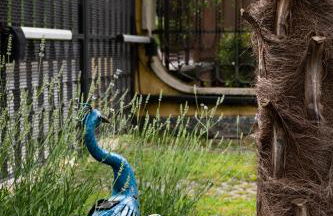 New Inn Residence - Foto 49