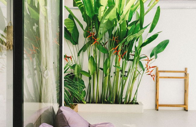 Bahala Na Villas - Foto 29