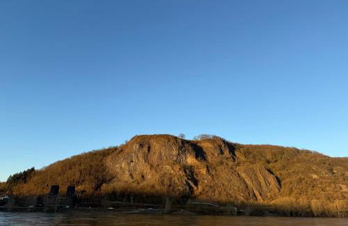 Apartment am Rhein - Foto 9