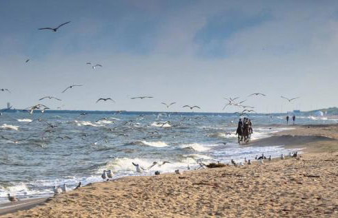 Soul Bobolin Homes - Foto 28