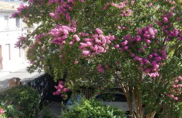 Calme et confort centre ville avec parking privé - Foto 9