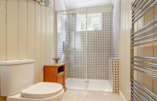 4 Bed in Llanfairtalhaiarn 88973 - Photo 22