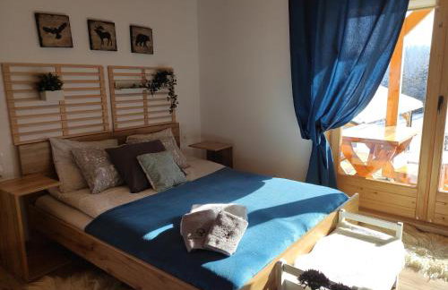 Apartament Borowikowe Zacisze - Foto 1