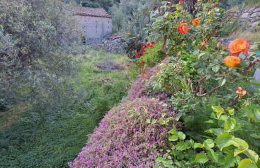 Casa Vacanze Geppy e Minù Gole Alcantara - Foto 13