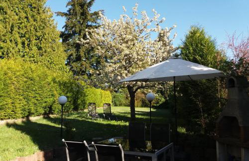 Gemütliche, helle Wohnung im Luftkurort Dansenberg - Photo 24