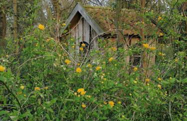 Ferienwohnung ehemalige Revierförsterei "uns Lütt" - Photo 23