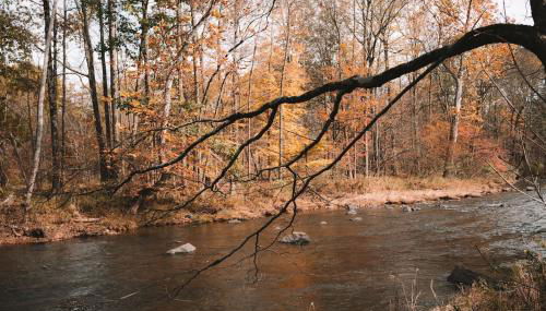 Chestnut Hill Farm - Foto 3