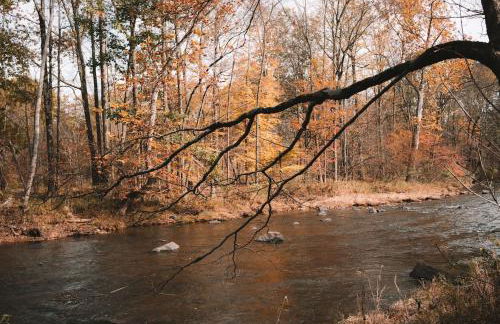 Chestnut Hill Farm - Foto 3