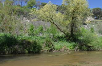 Casa Rural Las Barricas - Foto 36