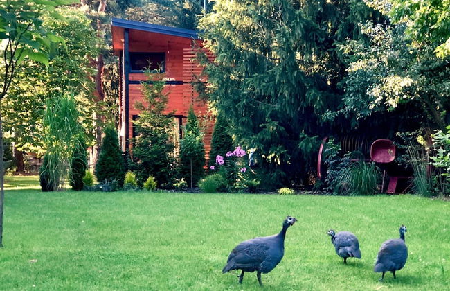 Cottage in Dlugosiodlo Near Forest Edge - Photo 41