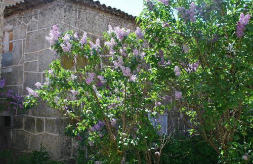 Refúgio de Calheiros - Foto 9