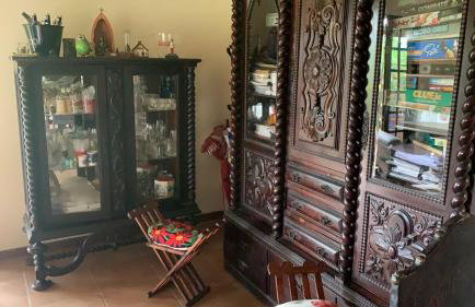 Vale das Estrelas - vale das videiras - araras - Foto 21