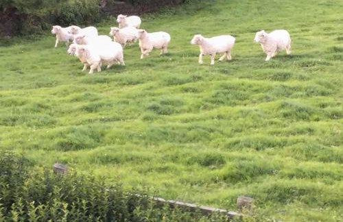 St Cadoc Cottage - Foto 15