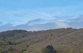 Driftwood in Looe River view and parking - Foto 1