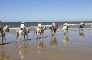 Apartamento La Gloria - Foto 38