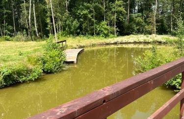 Filipowe Zacisze - Foto 28