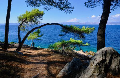 Vila Vita - Photo 78