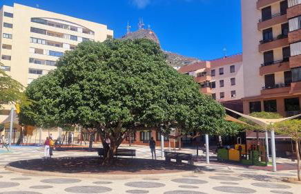 Apartamento Oroval Residencial Anaga - Foto 31