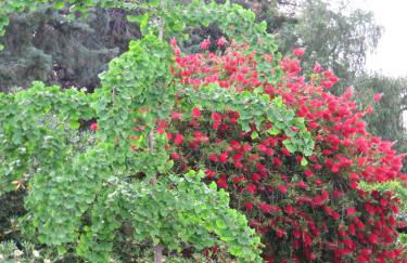 Agriturismo Torre Del Golfo - Foto 47