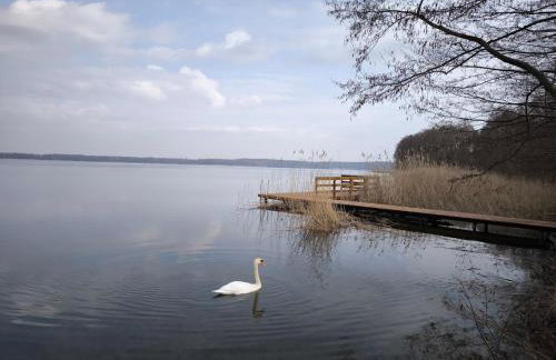 Mazurski Horyzont - Photo 27