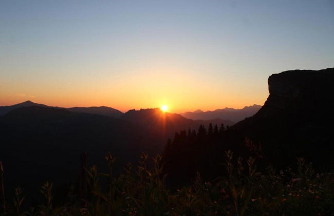 Dog-friendly Chalet in Bregenzerwald - Photo 32