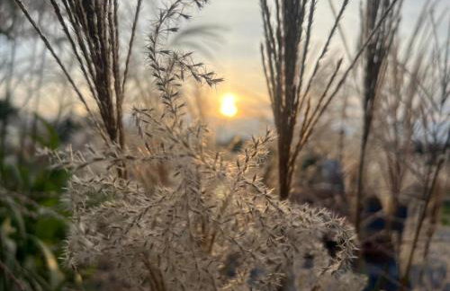 Sunset- Dom zachód słońca Spa - Foto 4