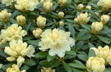 Ferienhaus Anni - Foto 43