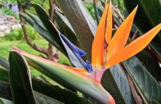 La piazzetta di Gra e Baldo - Foto 25