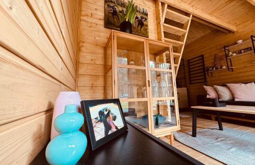 aResowa Wioska - Foto 37