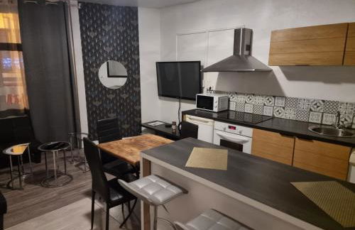 Gîte pour professionnels en déplacement - CENTRE VILLE - Parking gratuit - Foto 4